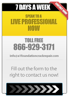 Speak to a Live Professional