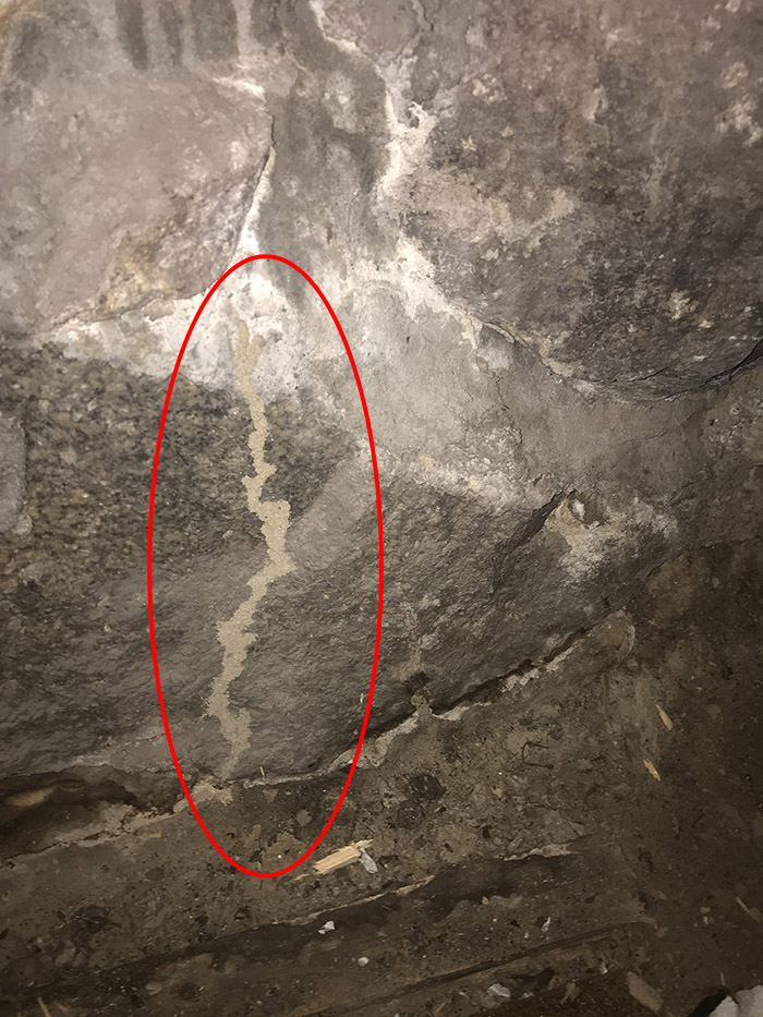 A1 Foundation Crack Repair - Termite tunnel on stone foundation
